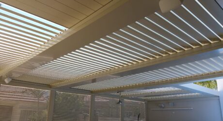 Tilia (3) Tilia (3)